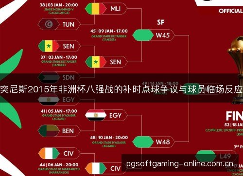 突尼斯2015年非洲杯八强战的补时点球争议与球员临场反应 突尼斯2015年非洲杯八强战的补时点球争议与球员临场反应